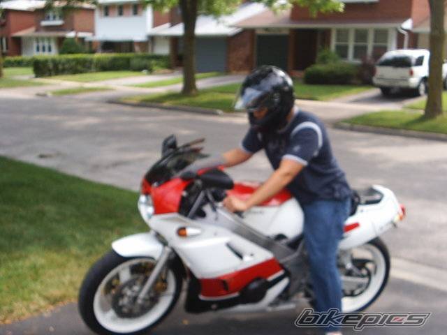 Photo 315423