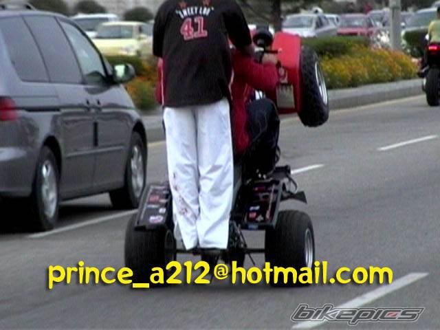 Bike Photo 315446