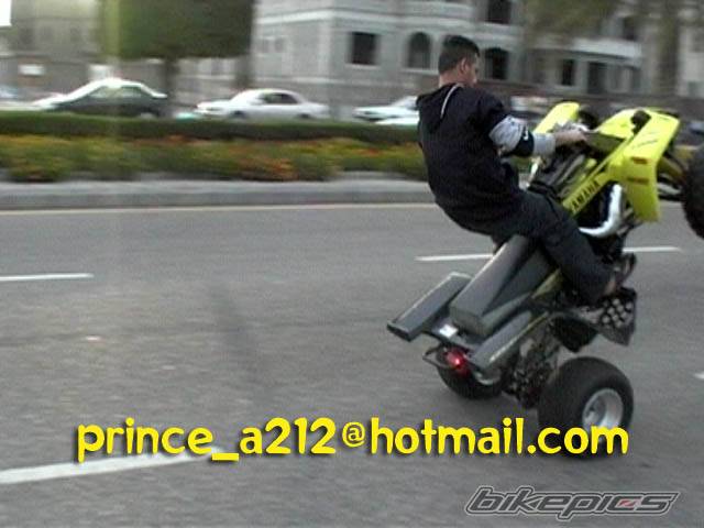 Bike Photo 315448