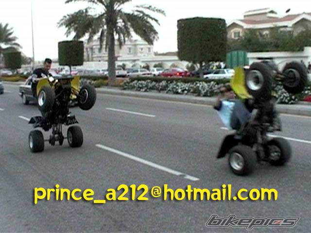 Bike Photo 315454