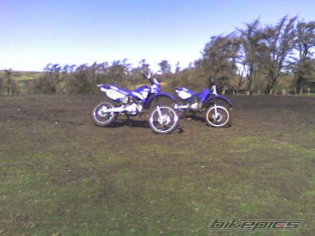 Bike Photo 315537