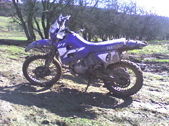 Bike Photo 315541