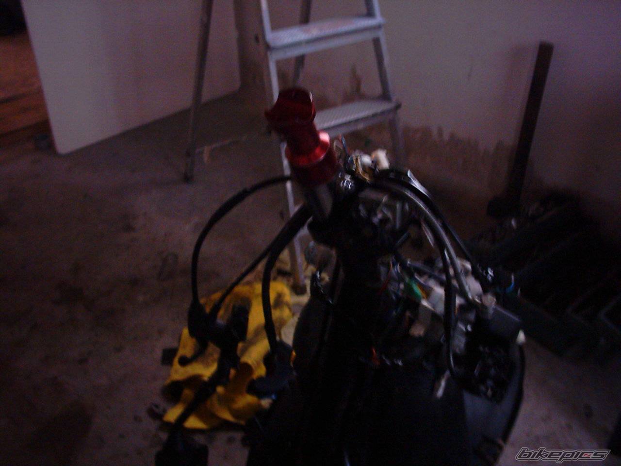 Photo 315727