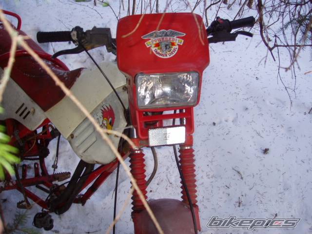 Photo 315768