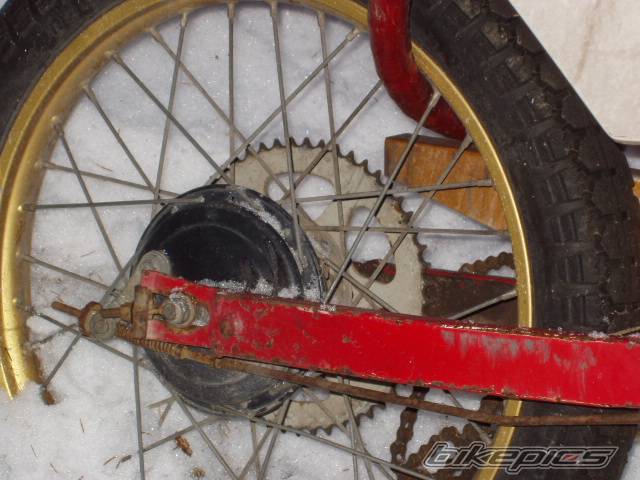 Photo 315769