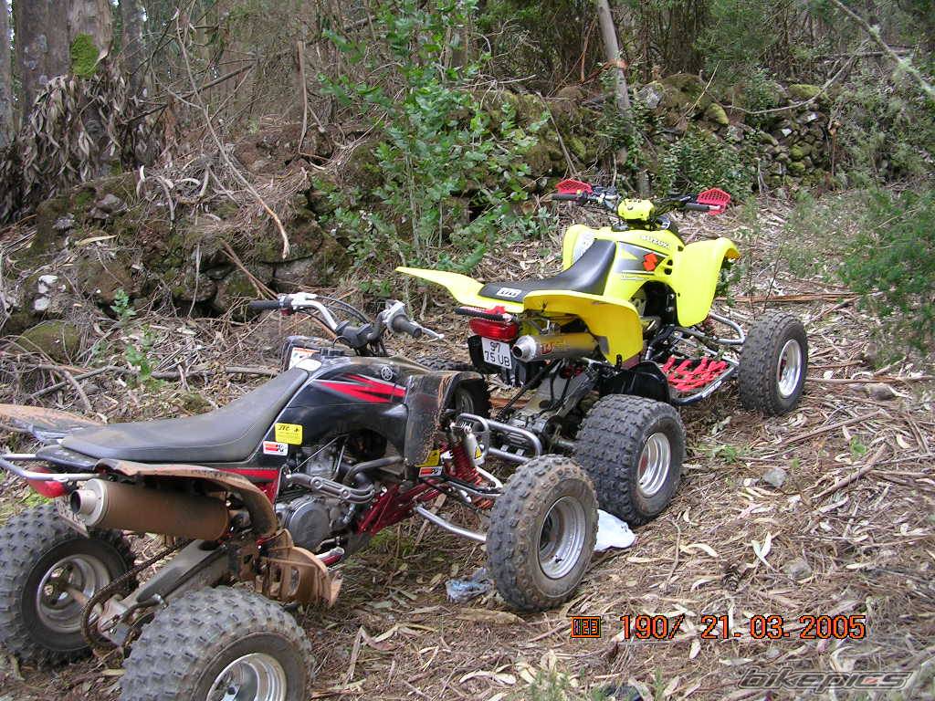 Bike Photo 315990
