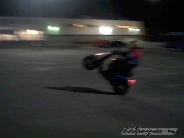 Photo 316065