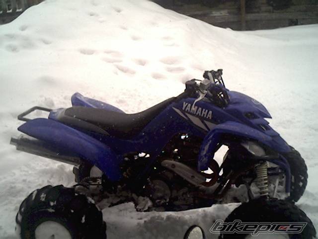 Photo 316069
