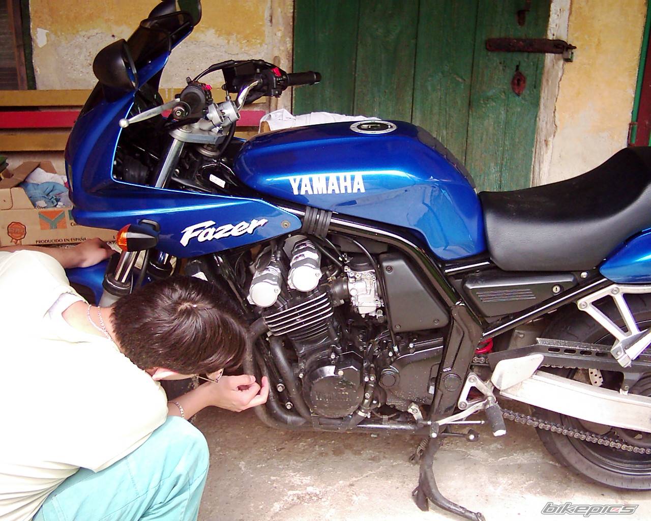 Bike Photo 316079