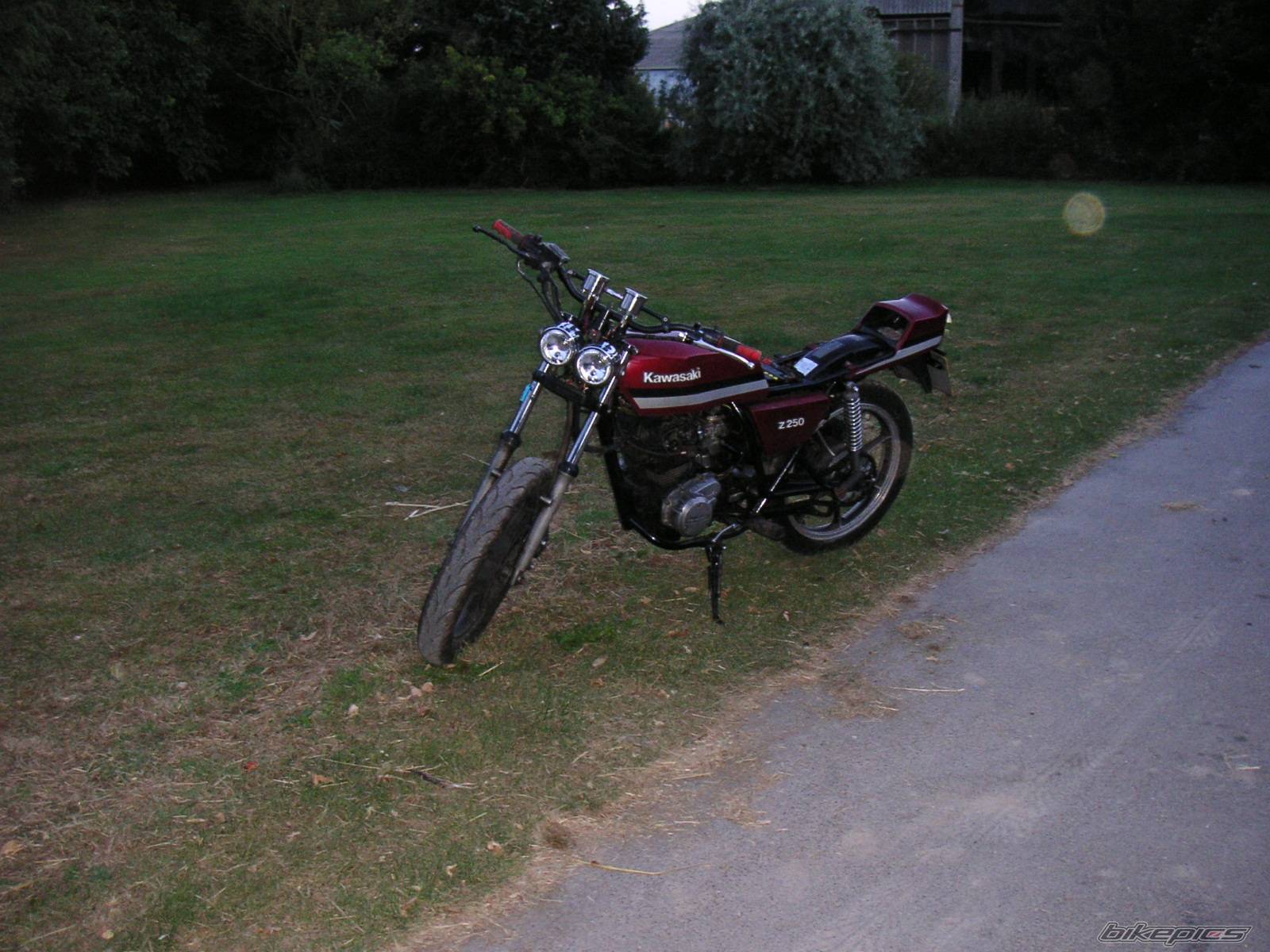 Photo 316209