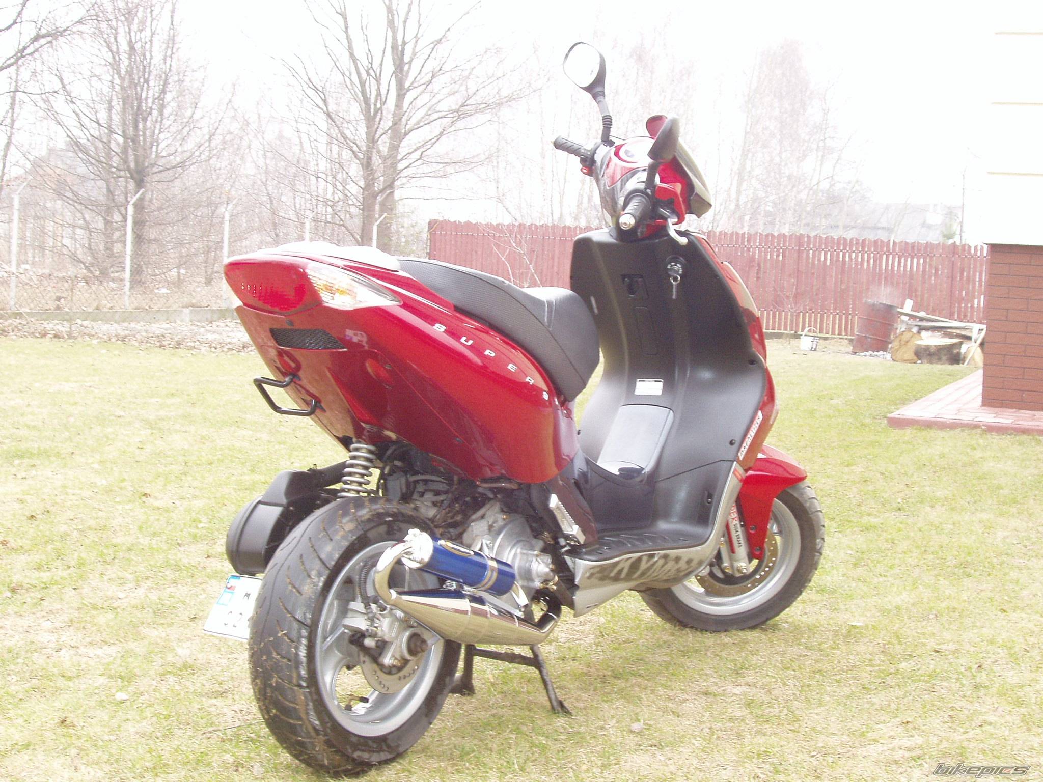 Photo 316232