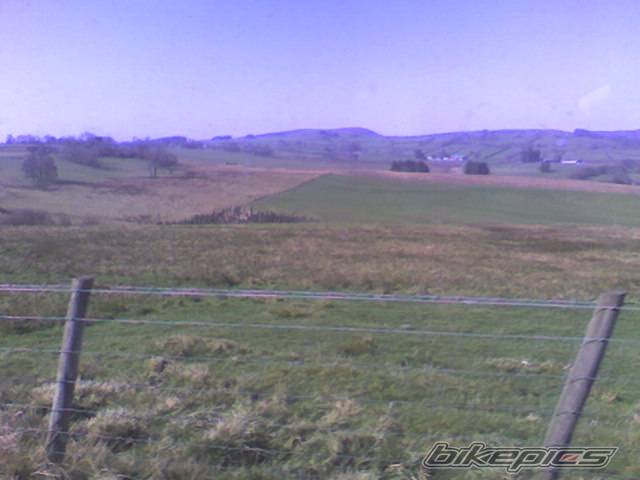 Photo 316260