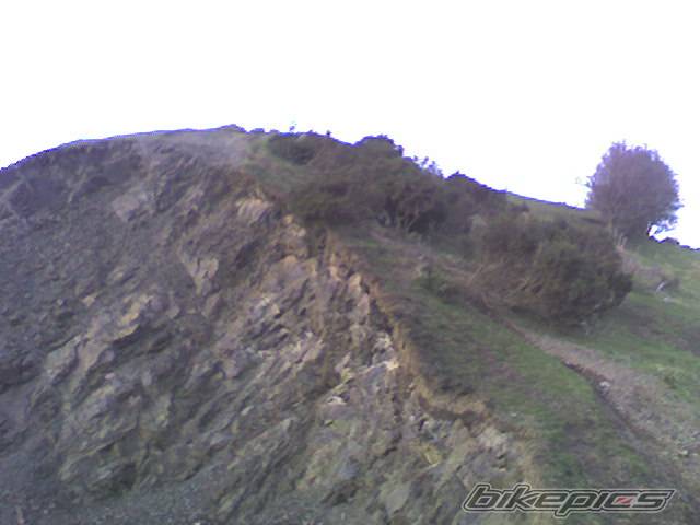 Photo 316262
