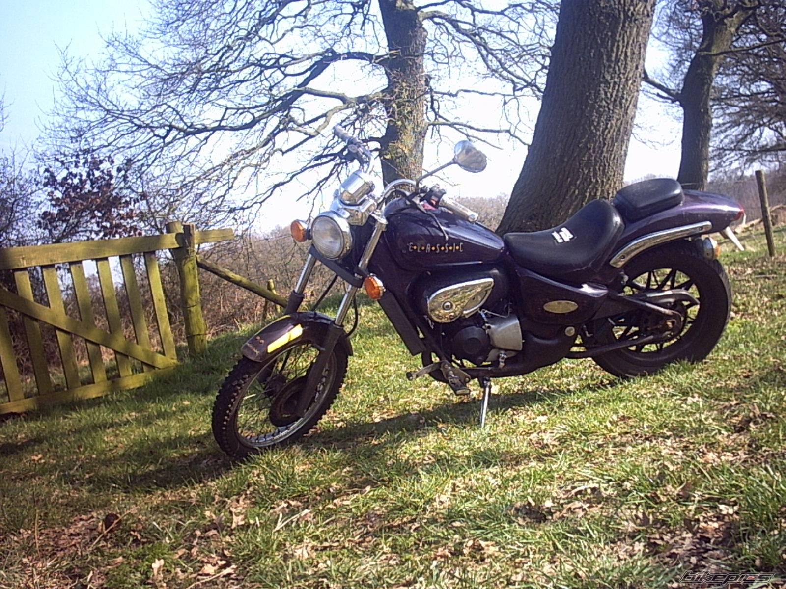 Bike Photo 316269