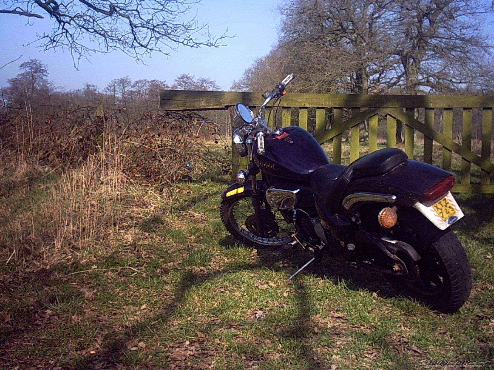 Bike Photo 316271