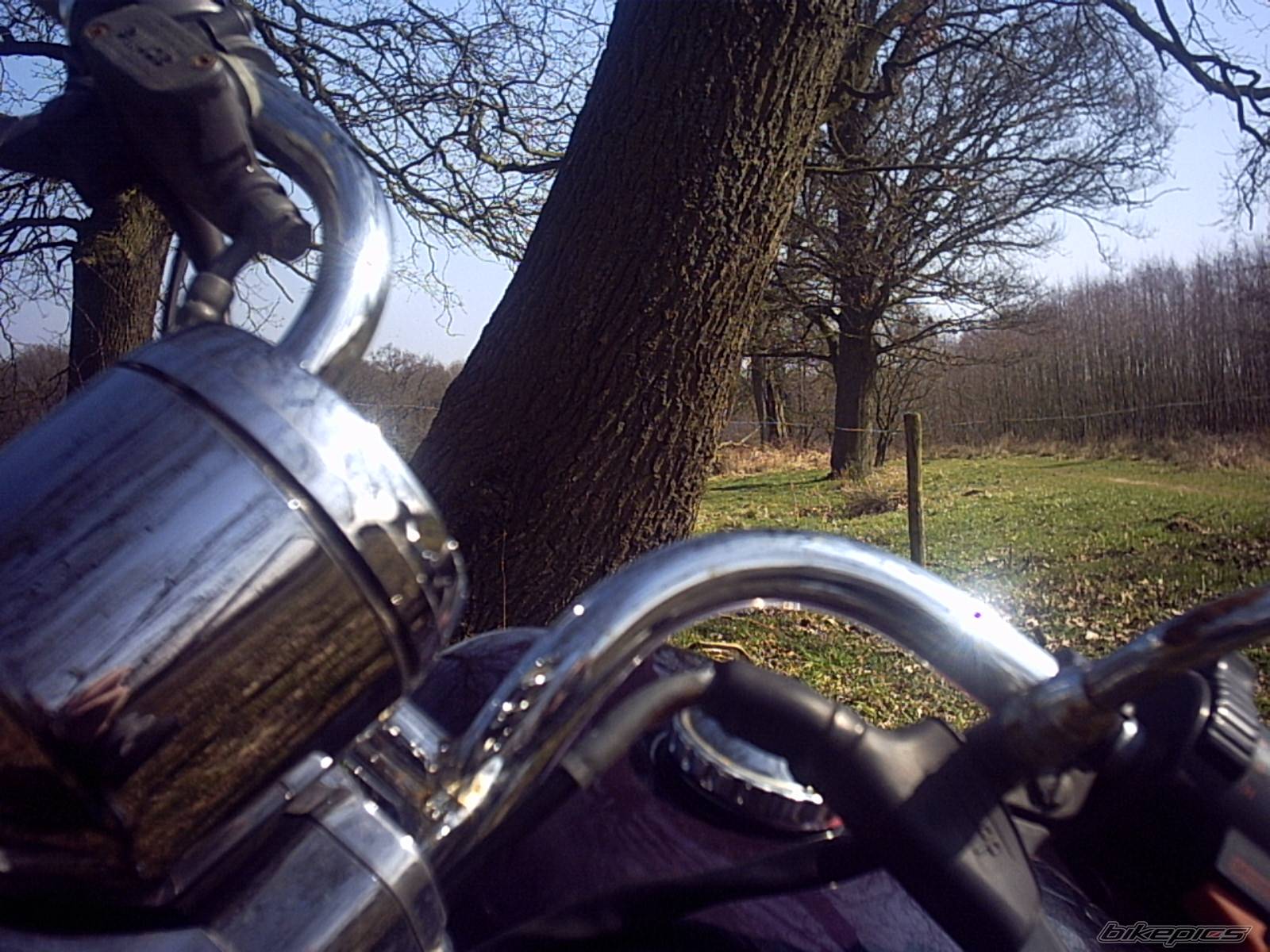 Bike Photo 316273