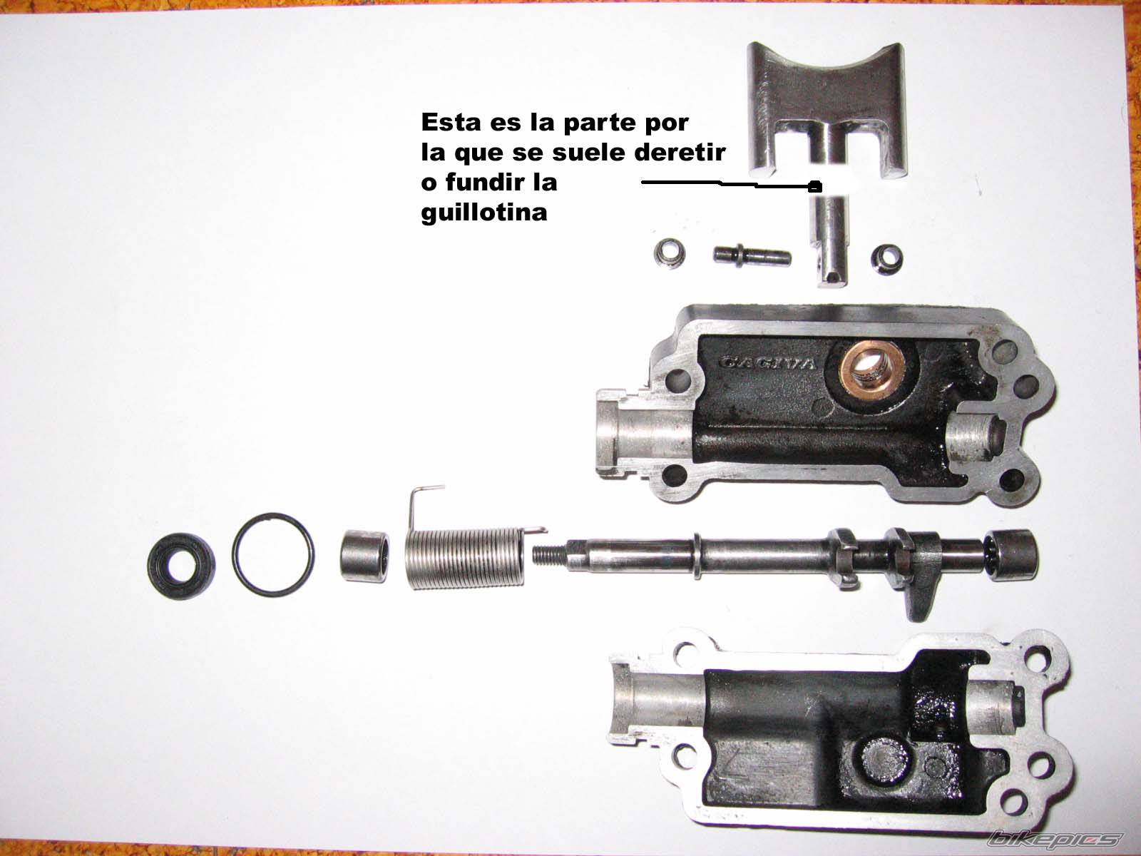 Photo 316293