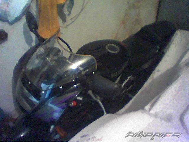 Photo 316311