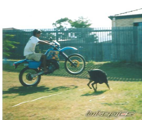 Photo 31632