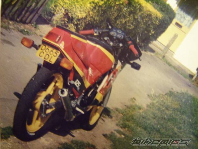 Photo 316424