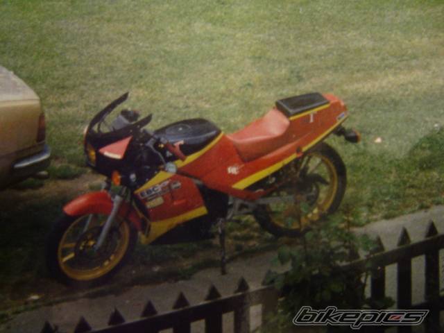Photo 316428