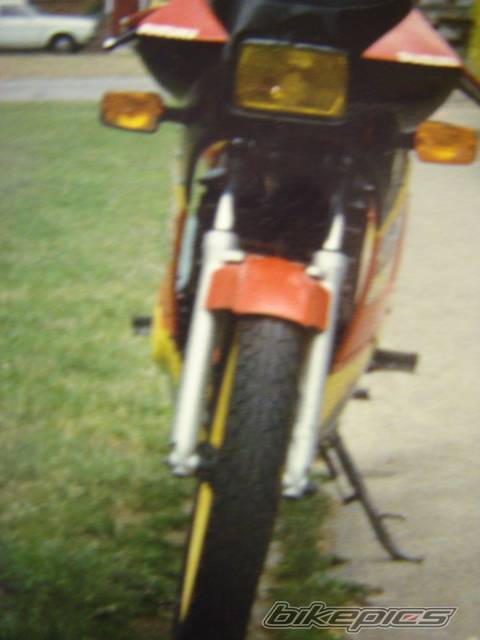 Photo 316430