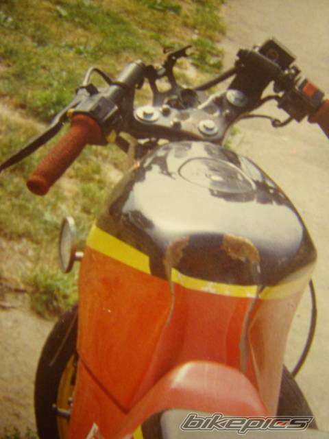 Photo 316435