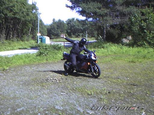 Photo 31644