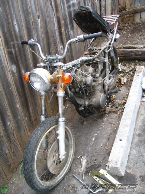 Photo 316509