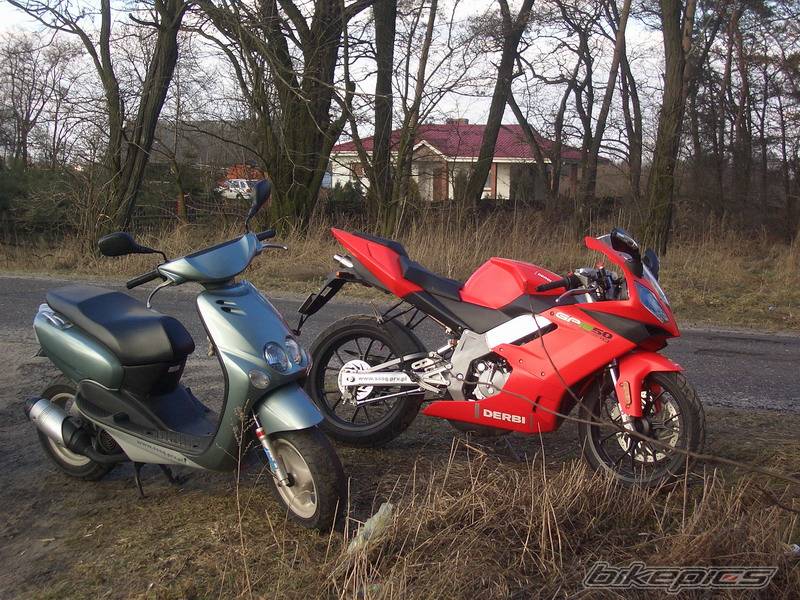 Photo 316520