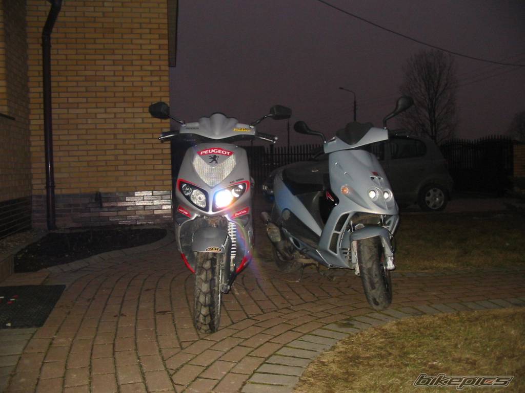 Photo 316573