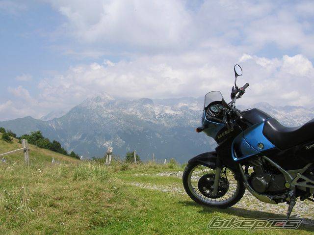 Bike Photo 316593