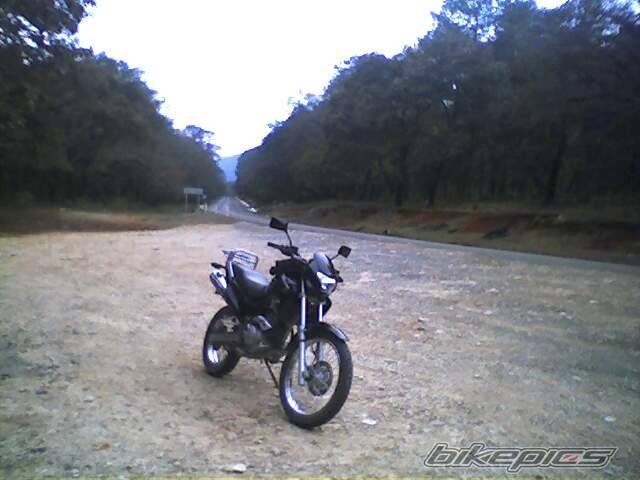 Bike Photo 316639