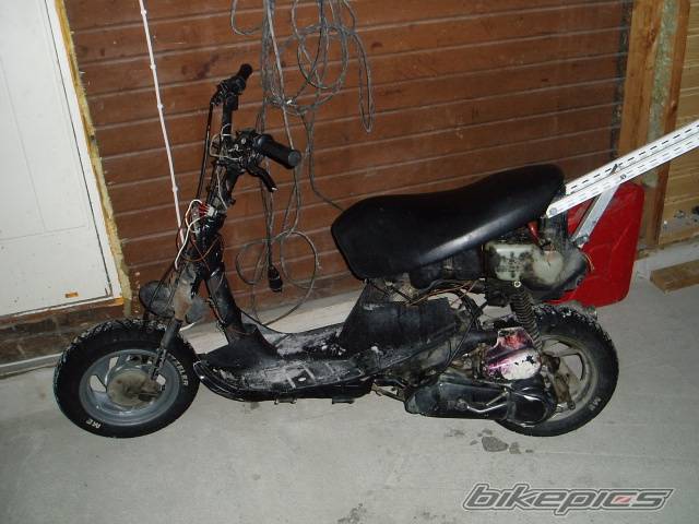 Photo 316687