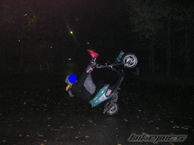 Photo 316694