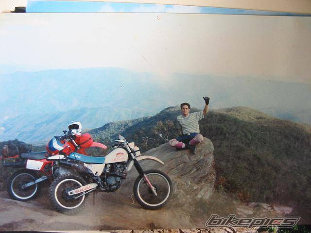 Photo 316699