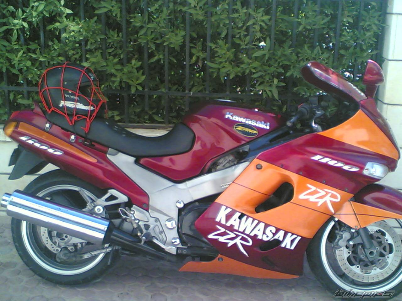 Photo 316709