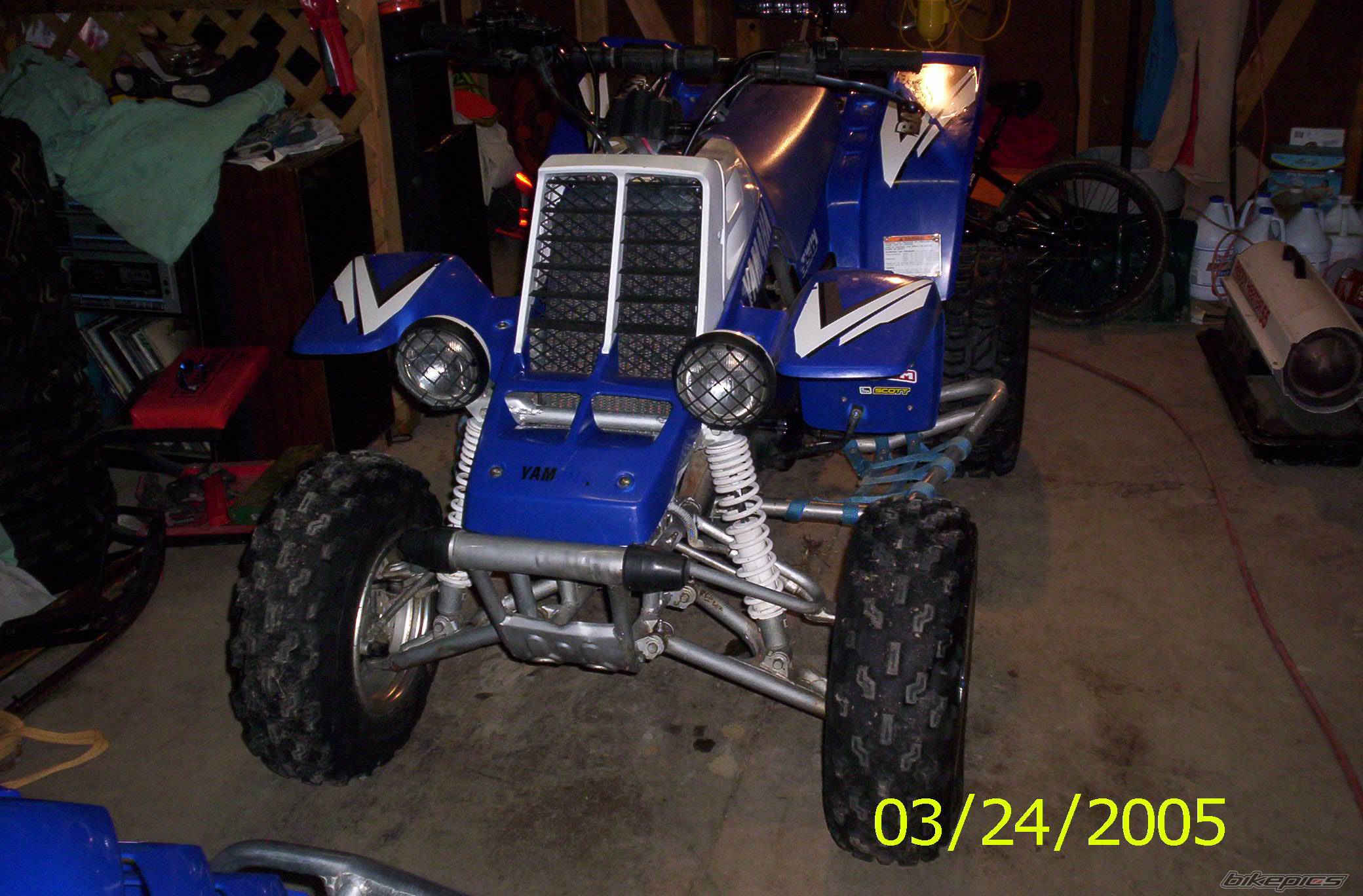 Photo 316729