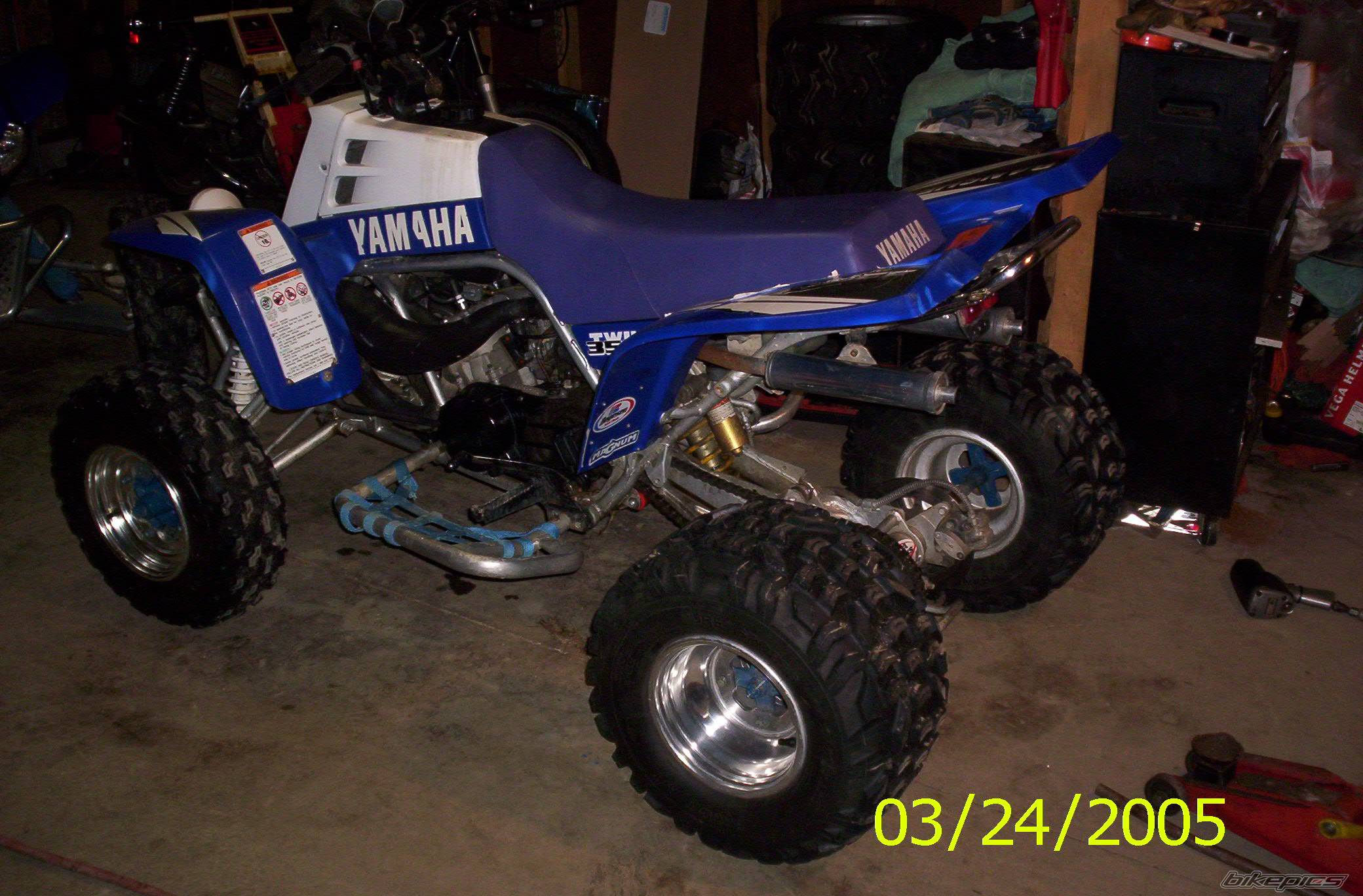 Photo 316730