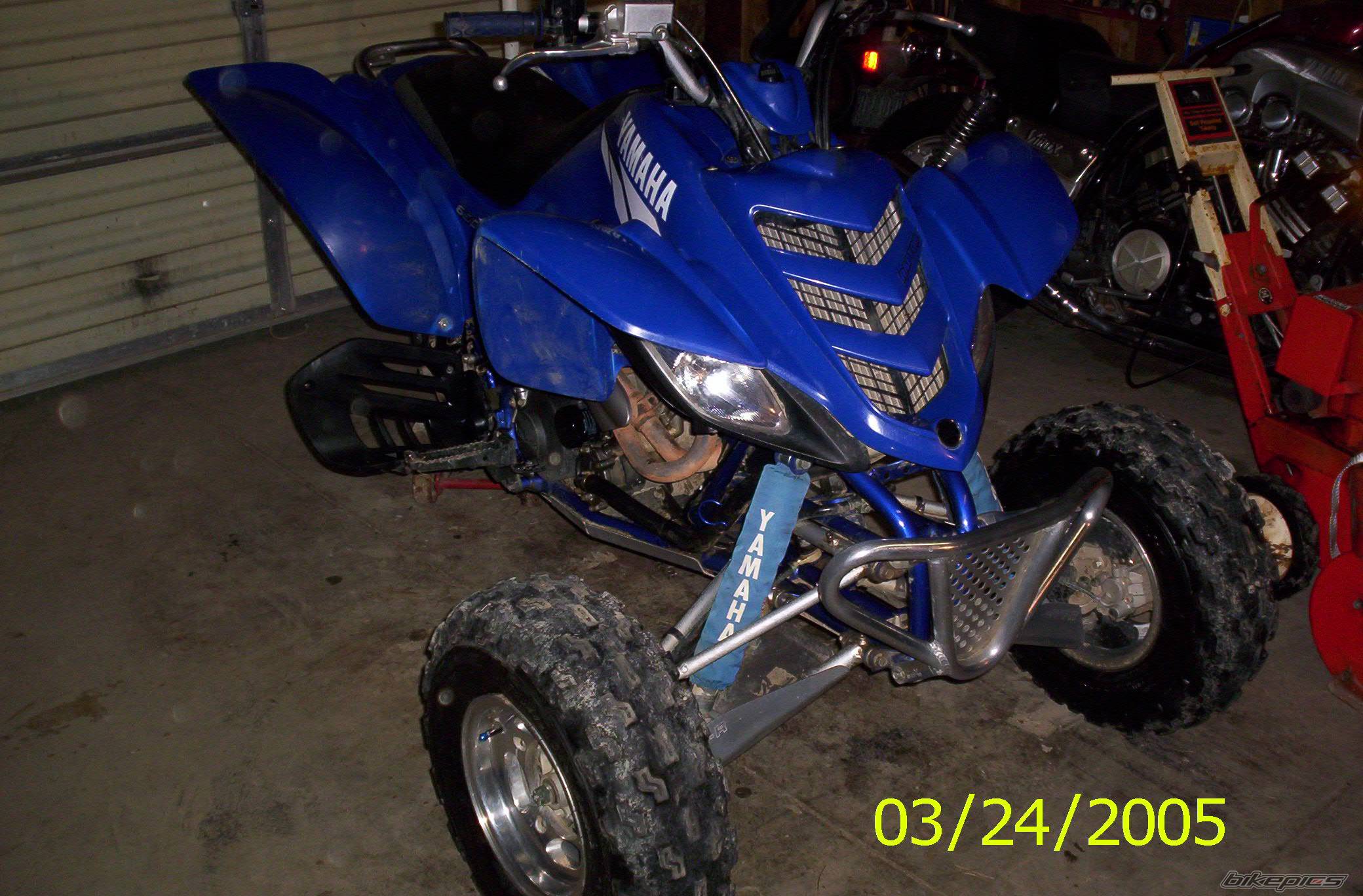 Photo 316737