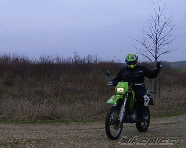 Photo 316879