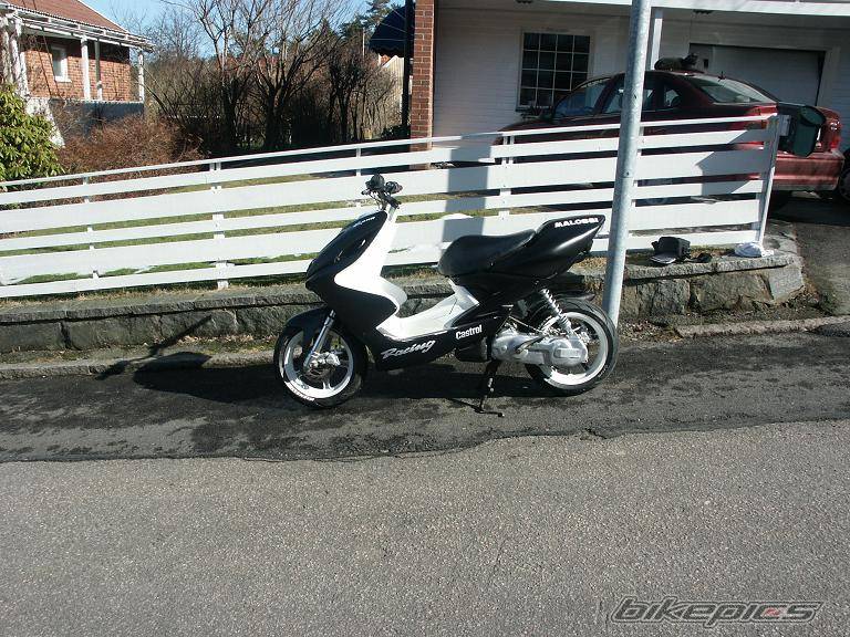Photo 316880