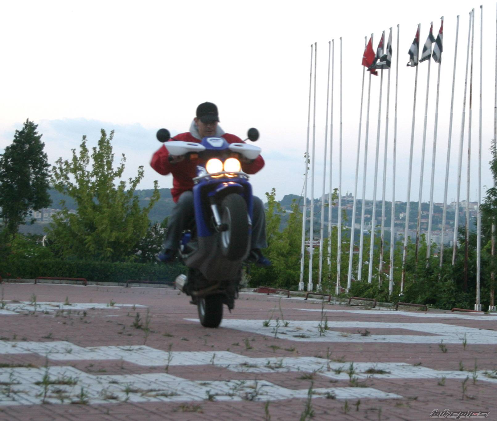 Bike Photo 316951