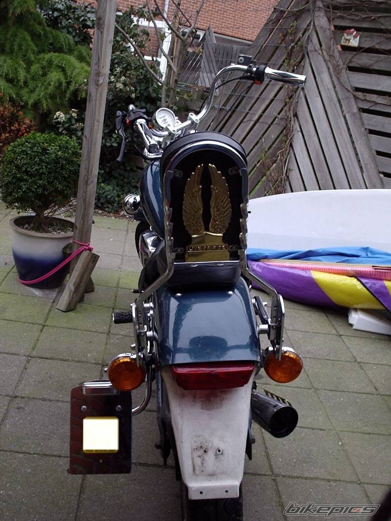 Photo 316975