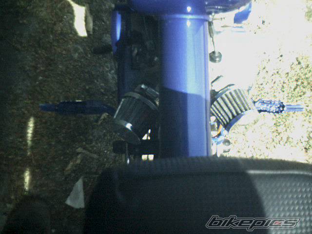 Bike Photo 316981
