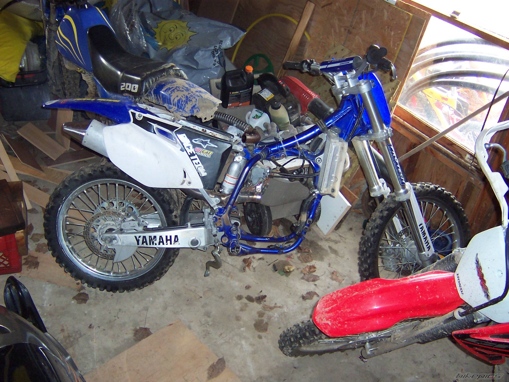 Photo 317029