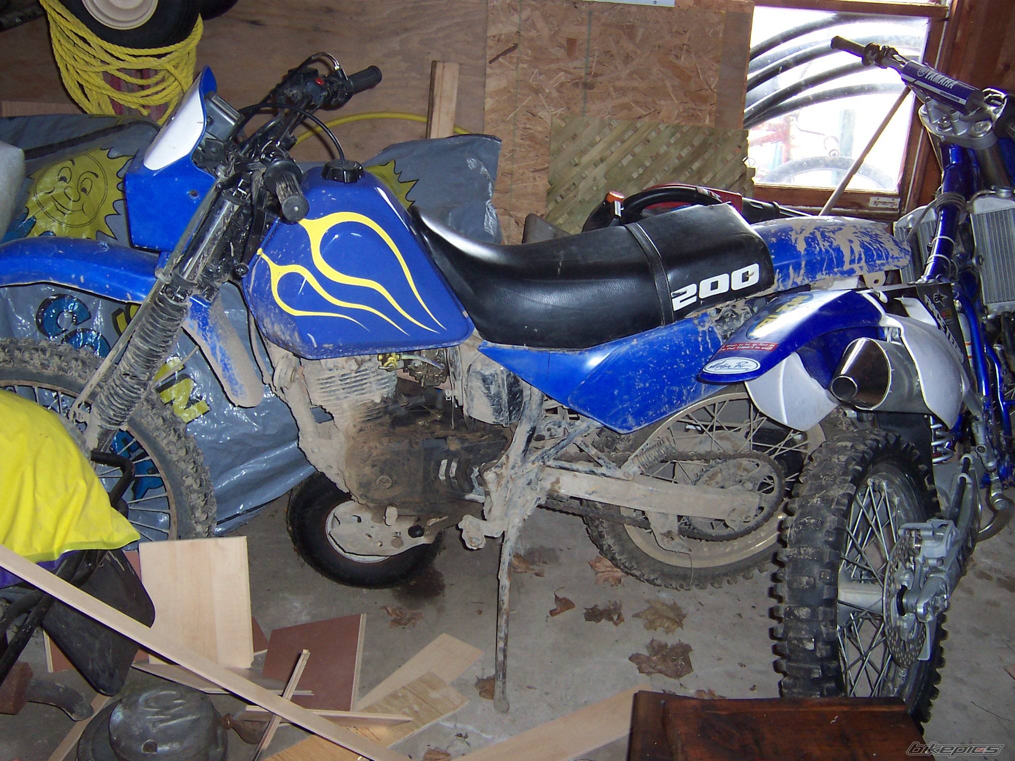 Bike Photo 317050