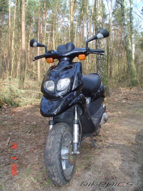 Photo 317138