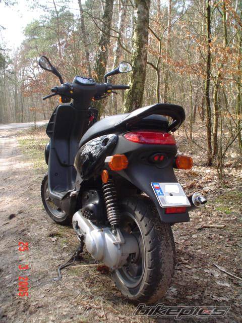 Photo 317140