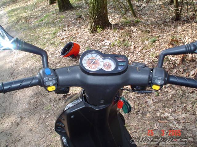 Photo 317152
